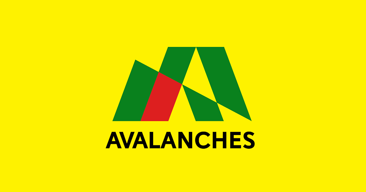 The Avalanches Official Store - The Avalanches Official Store